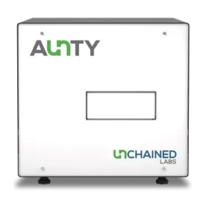 Aunty